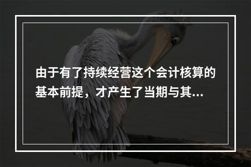 由于有了持续经营这个会计核算的基本前提，才产生了当期与其他期