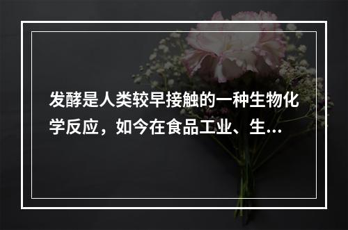 发酵是人类较早接触的一种生物化学反应，如今在食品工业、生物和