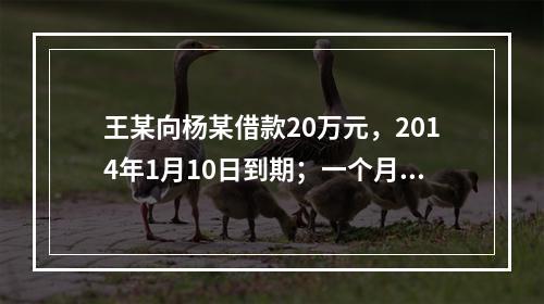 王某向杨某借款20万元，2014年1月10日到期；一个月后，