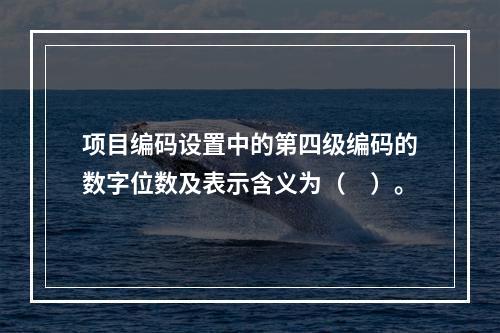 项目编码设置中的第四级编码的数字位数及表示含义为（　）。