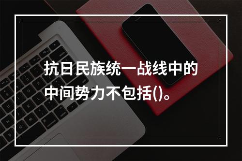 抗日民族统一战线中的中间势力不包括()。