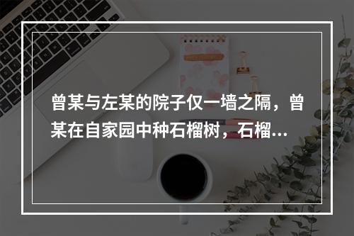 曾某与左某的院子仅一墙之隔，曾某在自家园中种石榴树，石榴树枝