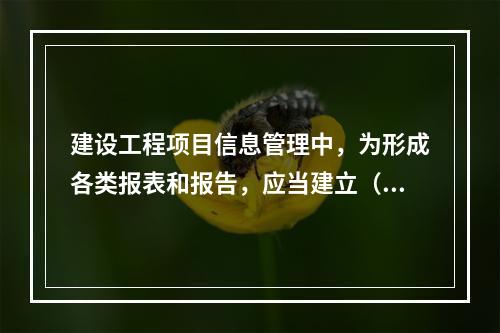 建设工程项目信息管理中，为形成各类报表和报告，应当建立（　）