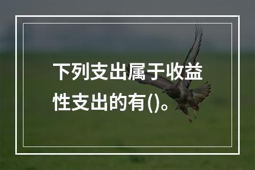 下列支出属于收益性支出的有()。