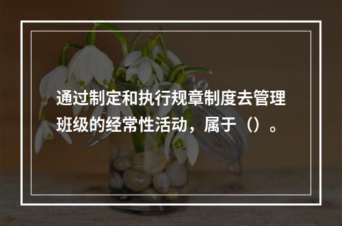 通过制定和执行规章制度去管理班级的经常性活动，属于（）。