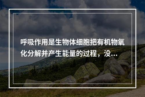 呼吸作用是生物体细胞把有机物氧化分解并产生能量的过程，没有氧