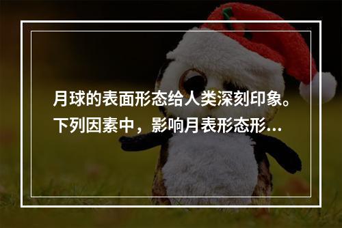 月球的表面形态给人类深刻印象。下列因素中，影响月表形态形成的