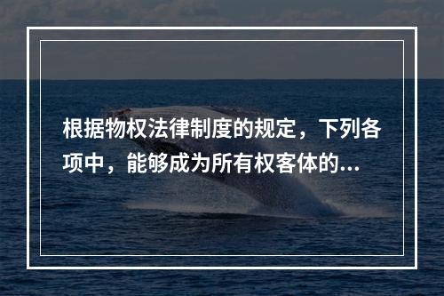 根据物权法律制度的规定，下列各项中，能够成为所有权客体的有(