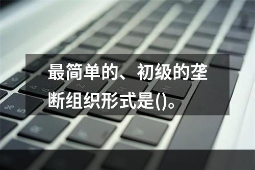 最简单的、初级的垄断组织形式是()。