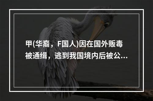 甲(华裔，F国人)因在国外贩毒被通缉，逃到我国境内后被公安机