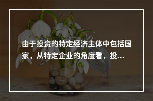 由于投资的特定经济主体中包括国家，从特定企业的角度看，投资不