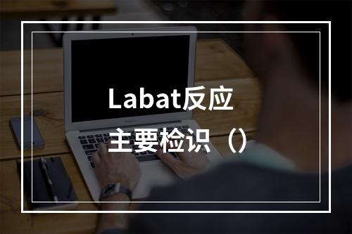 Labat反应主要检识（）