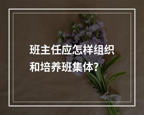 班主任应怎样组织和培养班集体?