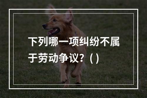 下列哪一项纠纷不属于劳动争议？( )