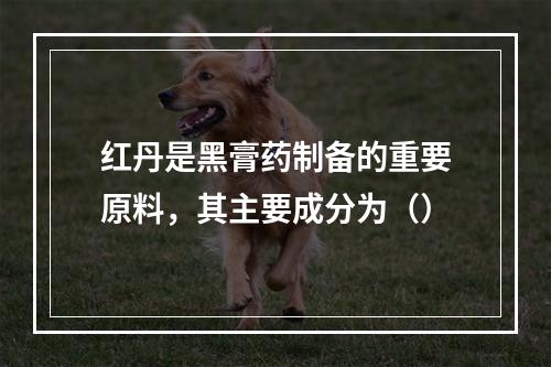 红丹是黑膏药制备的重要原料，其主要成分为（）