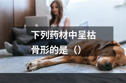 下列药材中呈枯骨形的是（）