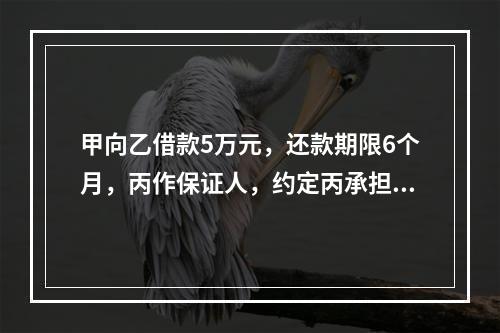 甲向乙借款5万元，还款期限6个月，丙作保证人，约定丙承担保证