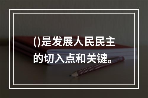 ()是发展人民民主的切入点和关键。