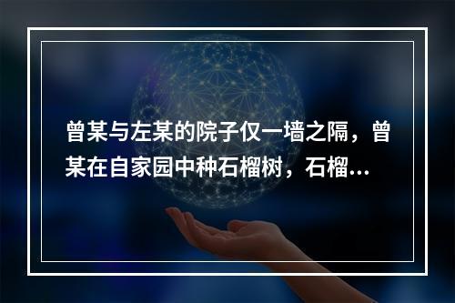 曾某与左某的院子仅一墙之隔，曾某在自家园中种石榴树，石榴树枝