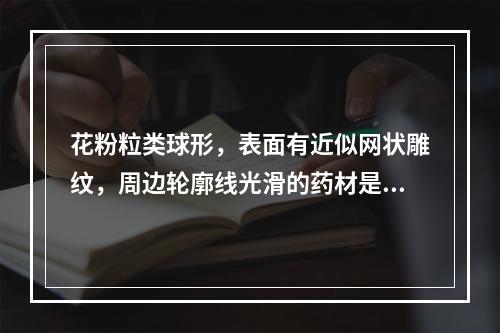 花粉粒类球形，表面有近似网状雕纹，周边轮廓线光滑的药材是（）