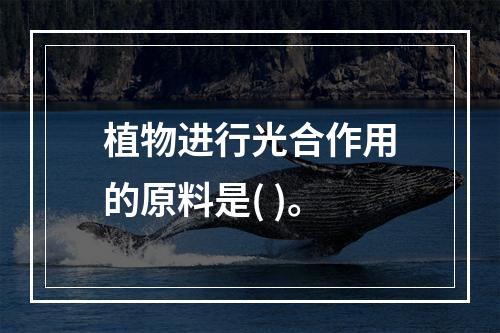 植物进行光合作用的原料是( )。