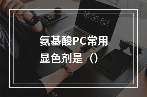 氨基酸PC常用显色剂是（）