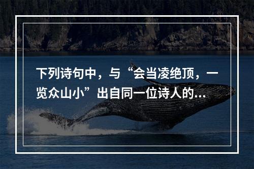 下列诗句中，与“会当凌绝顶，一览众山小”出自同一位诗人的是(