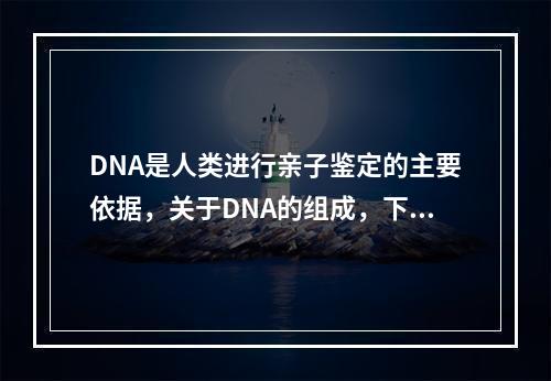 DNA是人类进行亲子鉴定的主要依据，关于DNA的组成，下面说