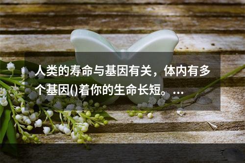 人类的寿命与基因有关，体内有多个基因()着你的生命长短。研究