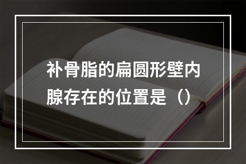 补骨脂的扁圆形壁内腺存在的位置是（）