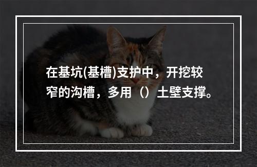 在基坑(基槽)支护中，开挖较窄的沟槽，多用（）土壁支撑。