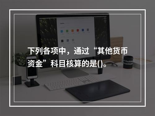 下列各项中，通过“其他货币资金”科目核算的是()。