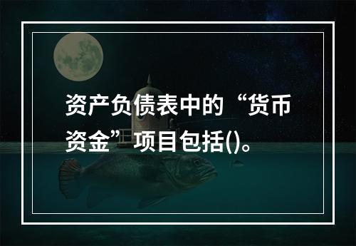 资产负债表中的“货币资金”项目包括()。