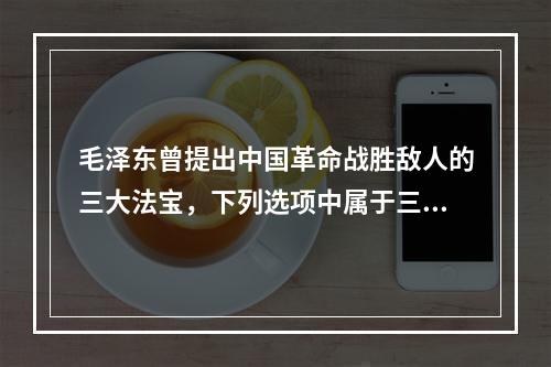 毛泽东曾提出中国革命战胜敌人的三大法宝，下列选项中属于三大法