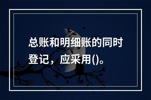 总账和明细账的同时登记，应采用()。