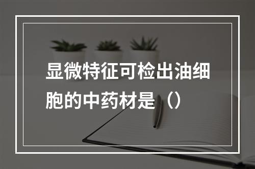 显微特征可检出油细胞的中药材是（）