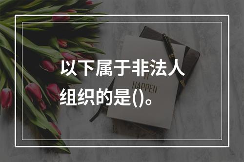 以下属于非法人组织的是()。