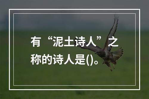 有“泥土诗人”之称的诗人是()。