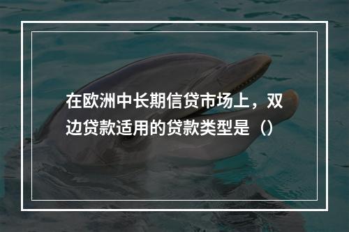 在欧洲中长期信贷市场上，双边贷款适用的贷款类型是（）