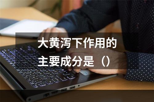 大黄泻下作用的主要成分是（）