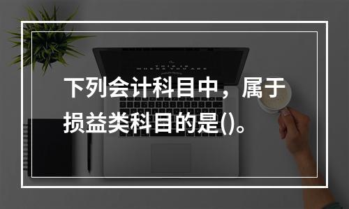 下列会计科目中，属于损益类科目的是()。