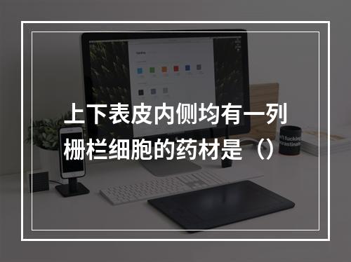 上下表皮内侧均有一列栅栏细胞的药材是（）