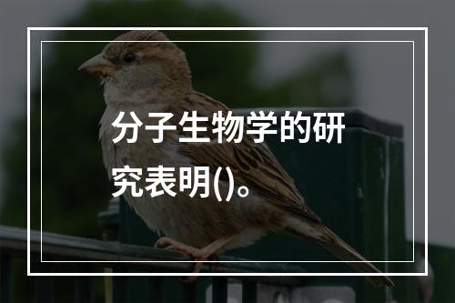 分子生物学的研究表明()。