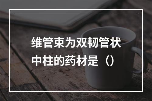 维管束为双韧管状中柱的药材是（）