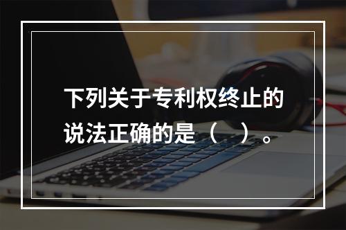 下列关于专利权终止的说法正确的是（　）。