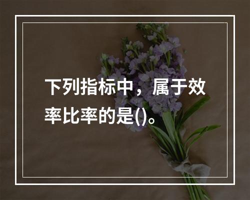 下列指标中，属于效率比率的是()。