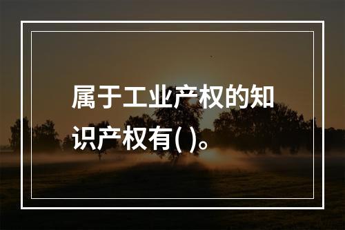 属于工业产权的知识产权有( )。