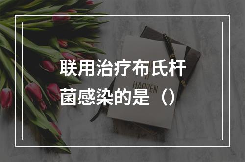 联用治疗布氏杆菌感染的是（）