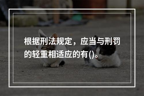 根据刑法规定，应当与刑罚的轻重相适应的有()。