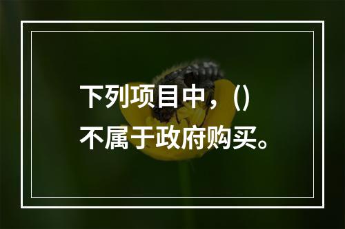 下列项目中，()不属于政府购买。